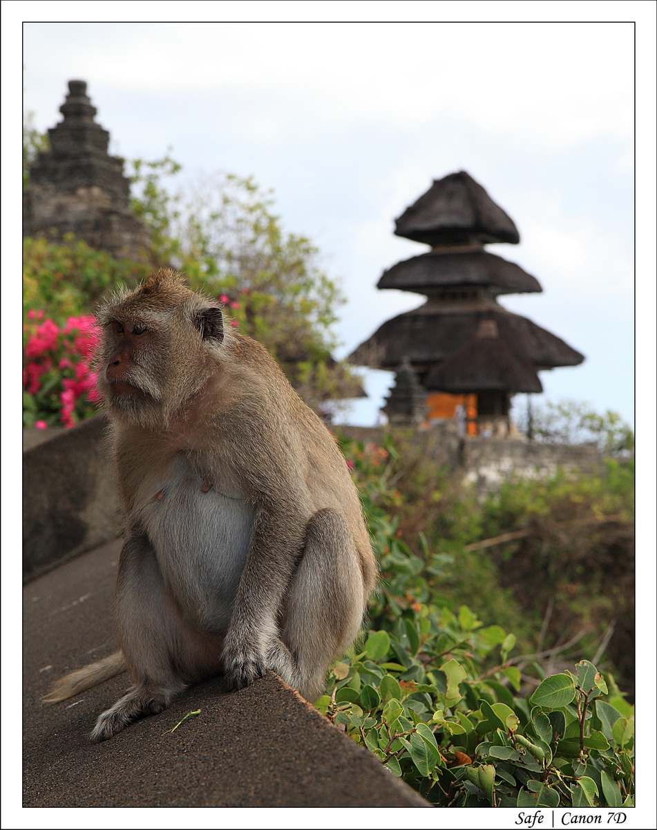 2012 - 07 - Bali - 14